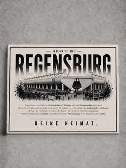 Regensburg Stadion Leinwand
