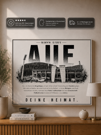 Aue Stadion Leinwand