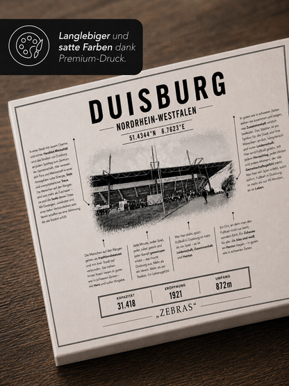 Duisburg Stadion Leinwand