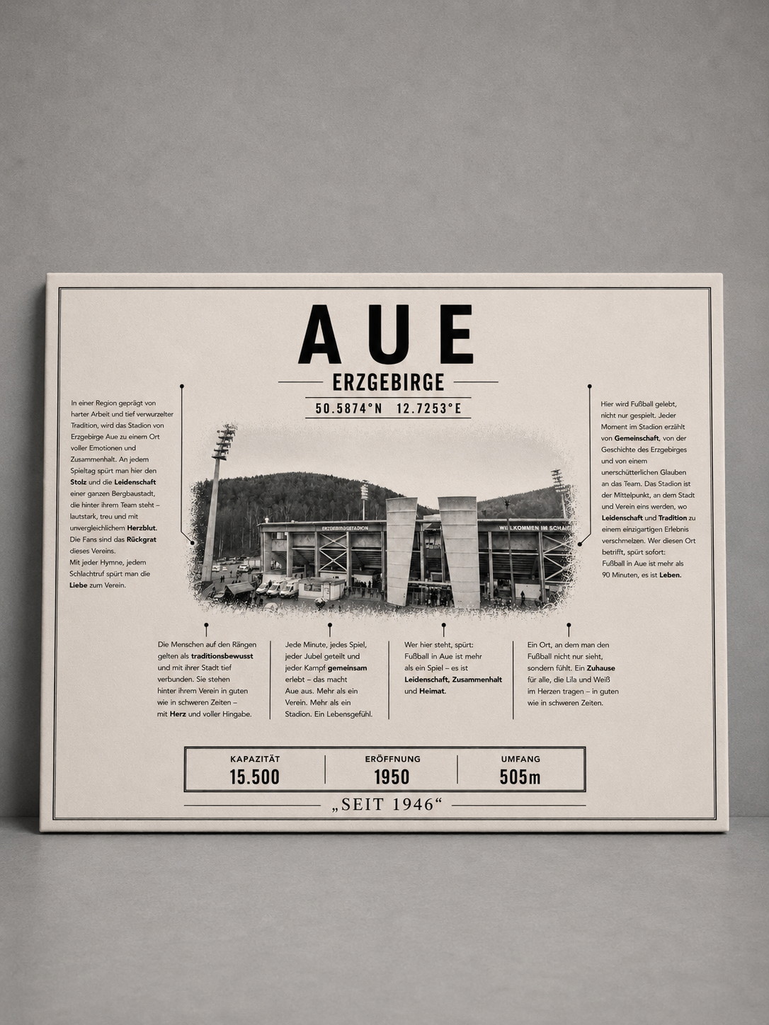 Aue Stadion Leinwand
