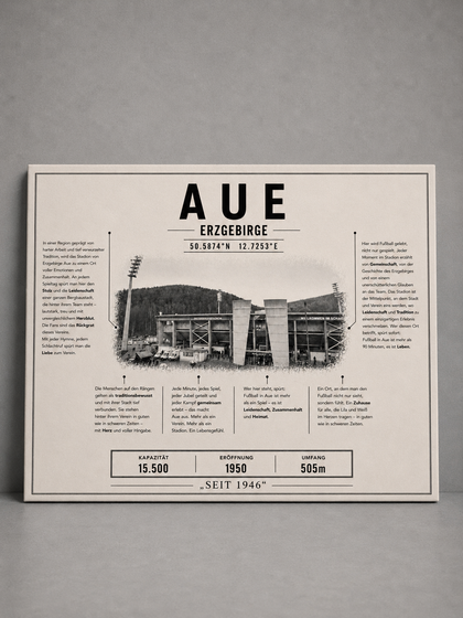 Aue Stadion Leinwand