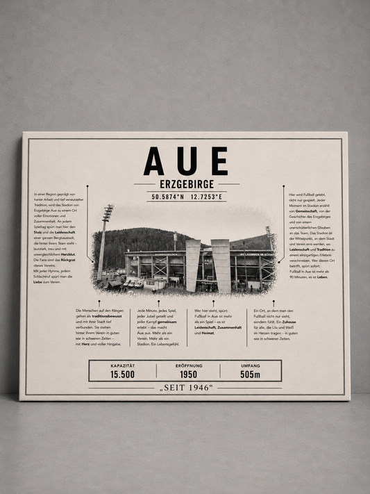 Aue Stadion Leinwand