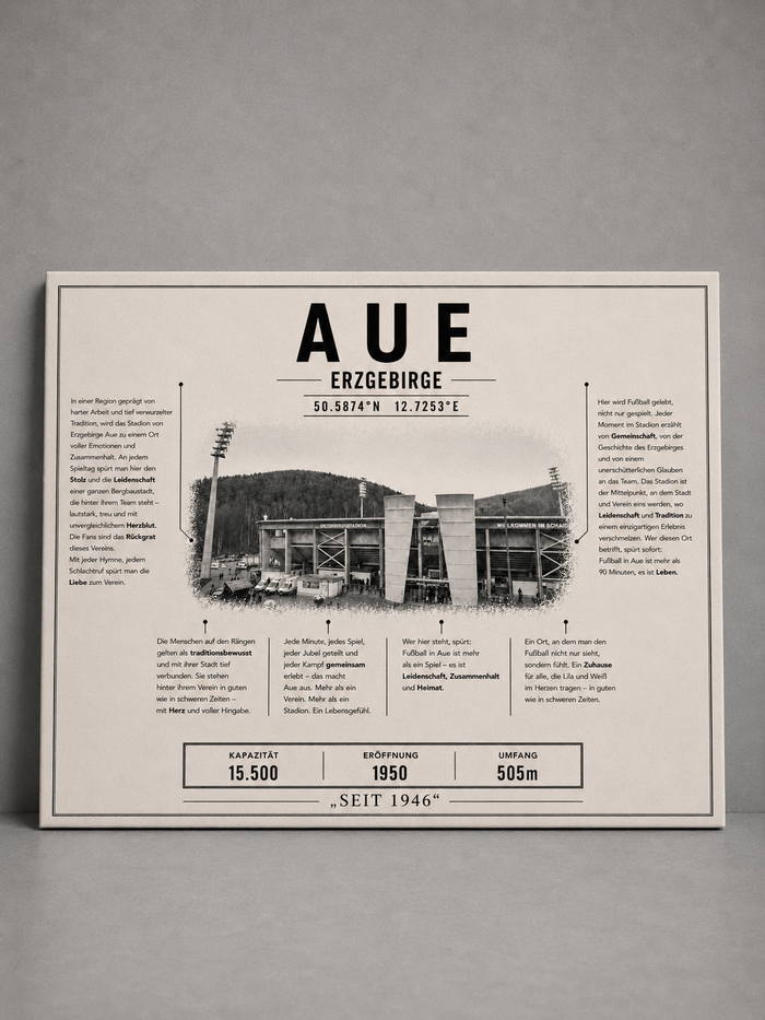 Aue Stadion Leinwand