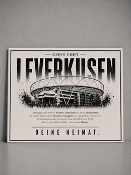 Leverkusen Stadion Leinwand