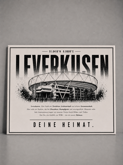 Leverkusen Stadion Leinwand