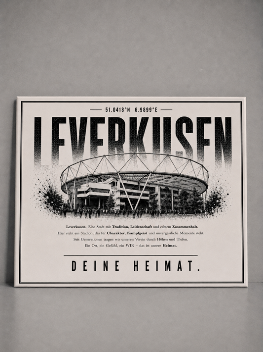 Leverkusen Stadion Leinwand