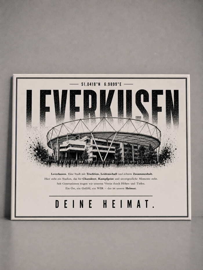 Leverkusen Stadion Leinwand