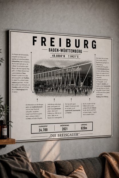 Freiburg Stadion Leinwand