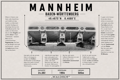 Mannheim Stadion Leinwand