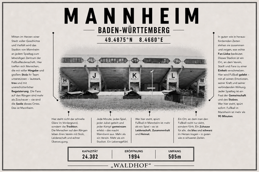Mannheim Stadion Leinwand
