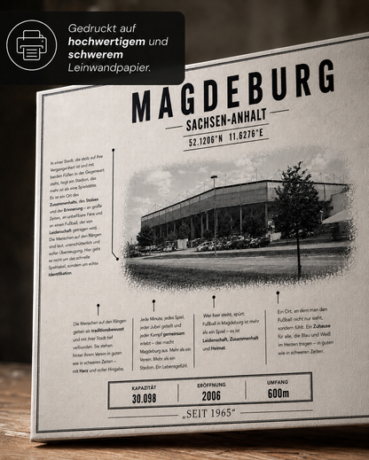 Magdeburg Stadion Leinwand