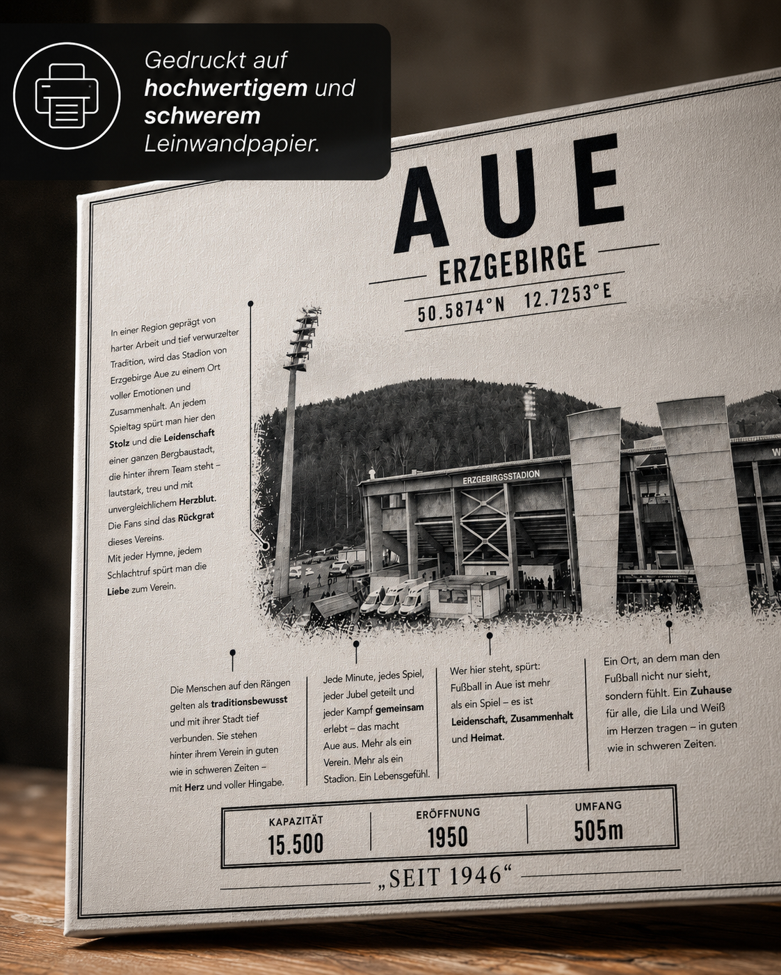 Aue Stadion Leinwand – Detailansicht 2