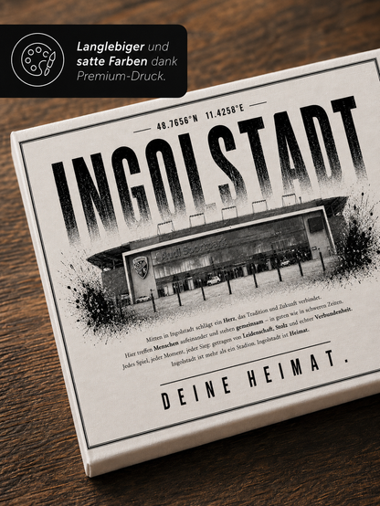Ingolstadt Stadion Leinwand