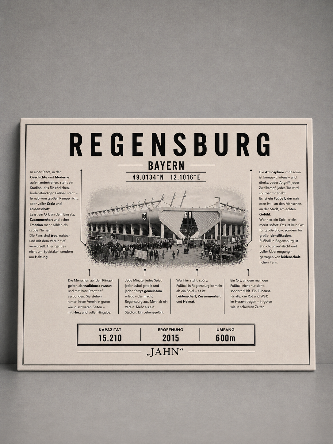 Regensburg Stadion Leinwand
