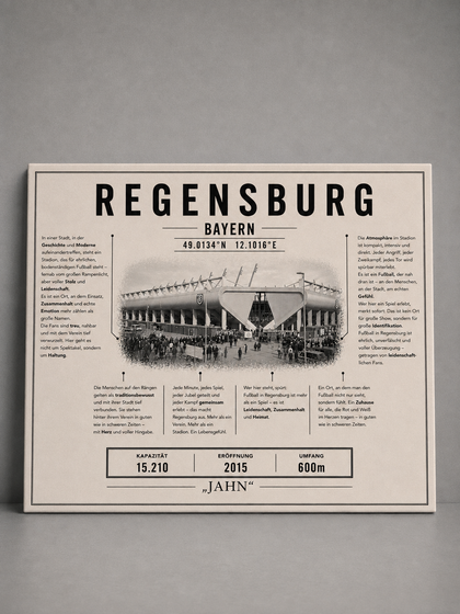 Regensburg Stadion Leinwand