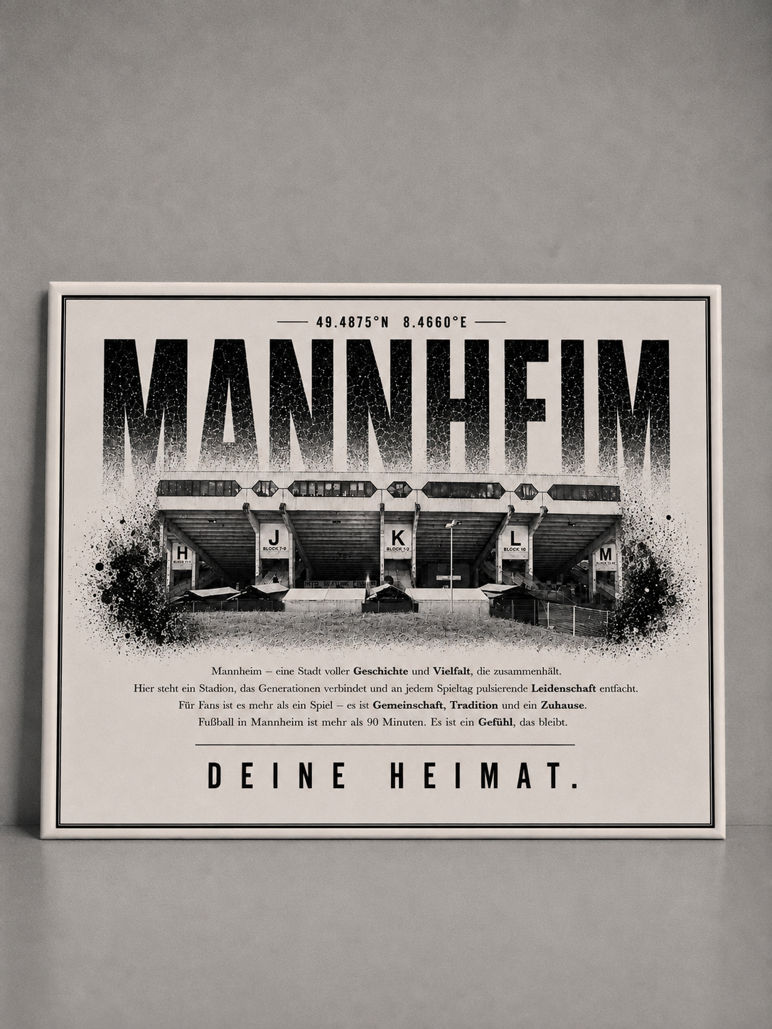 Mannheim Stadion Leinwand