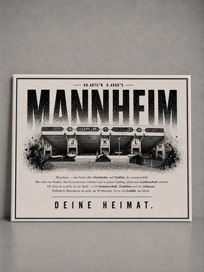 Mannheim Stadion Leinwand