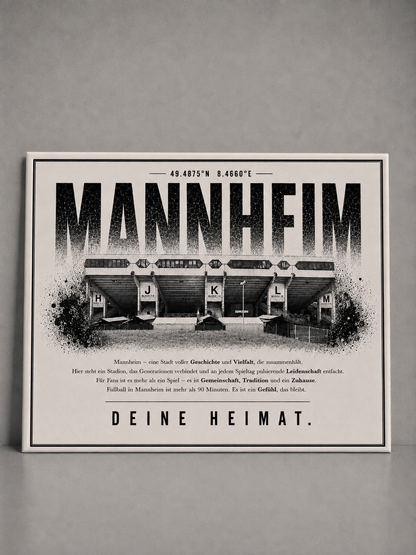 Mannheim Stadion Leinwand