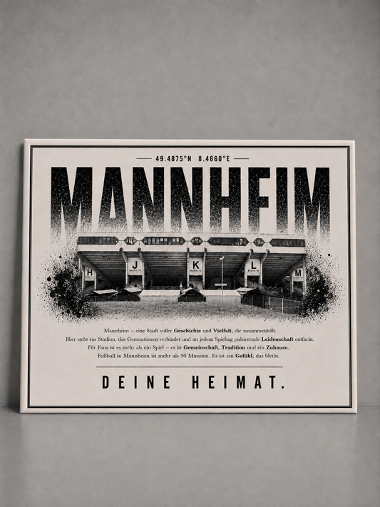 Mannheim Stadion Leinwand