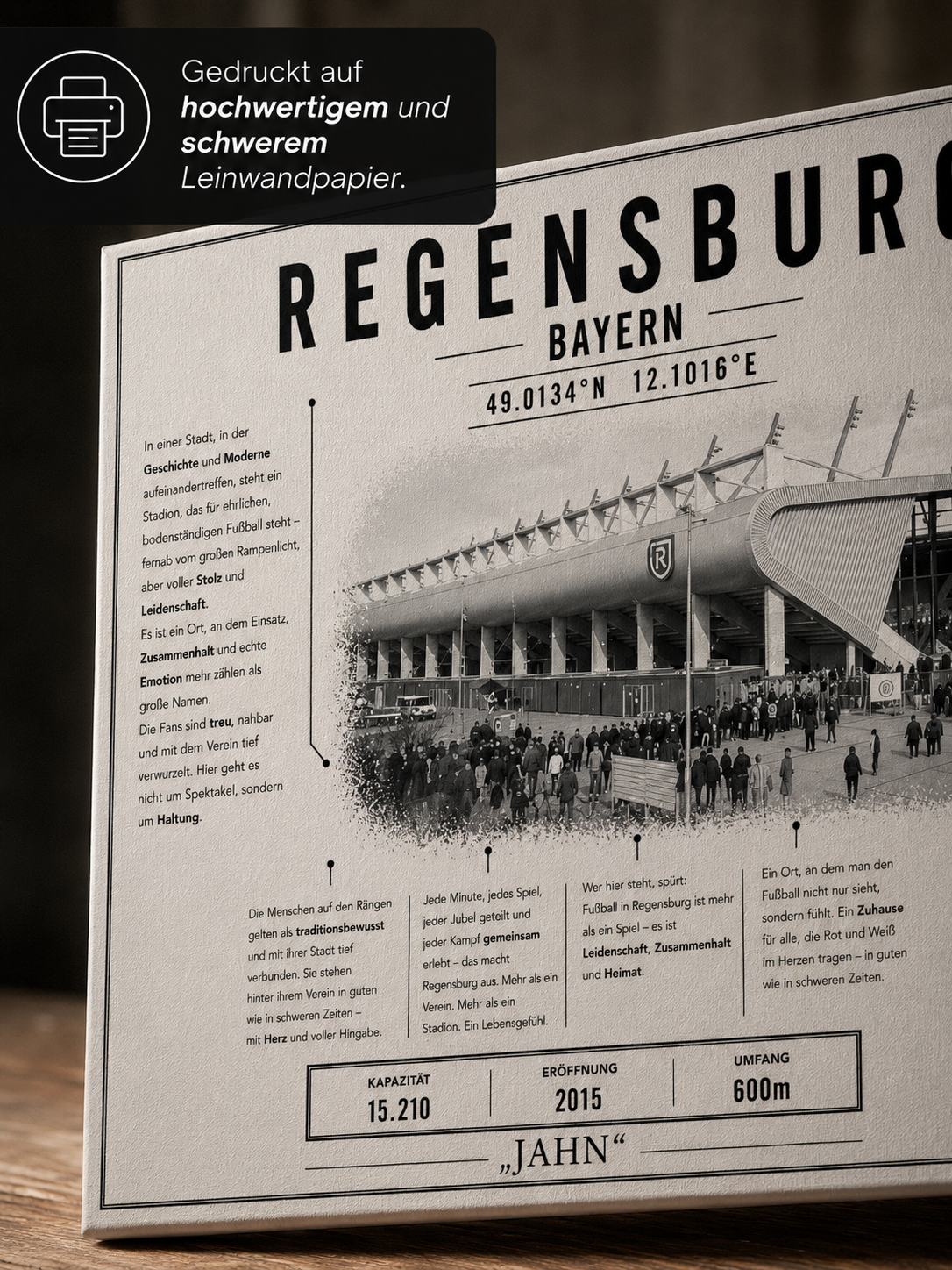 Regensburg Stadion Leinwand – Detailansicht 2