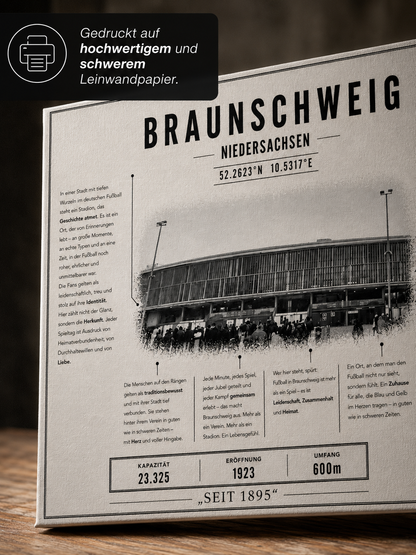 Braunschweig Stadion Leinwand