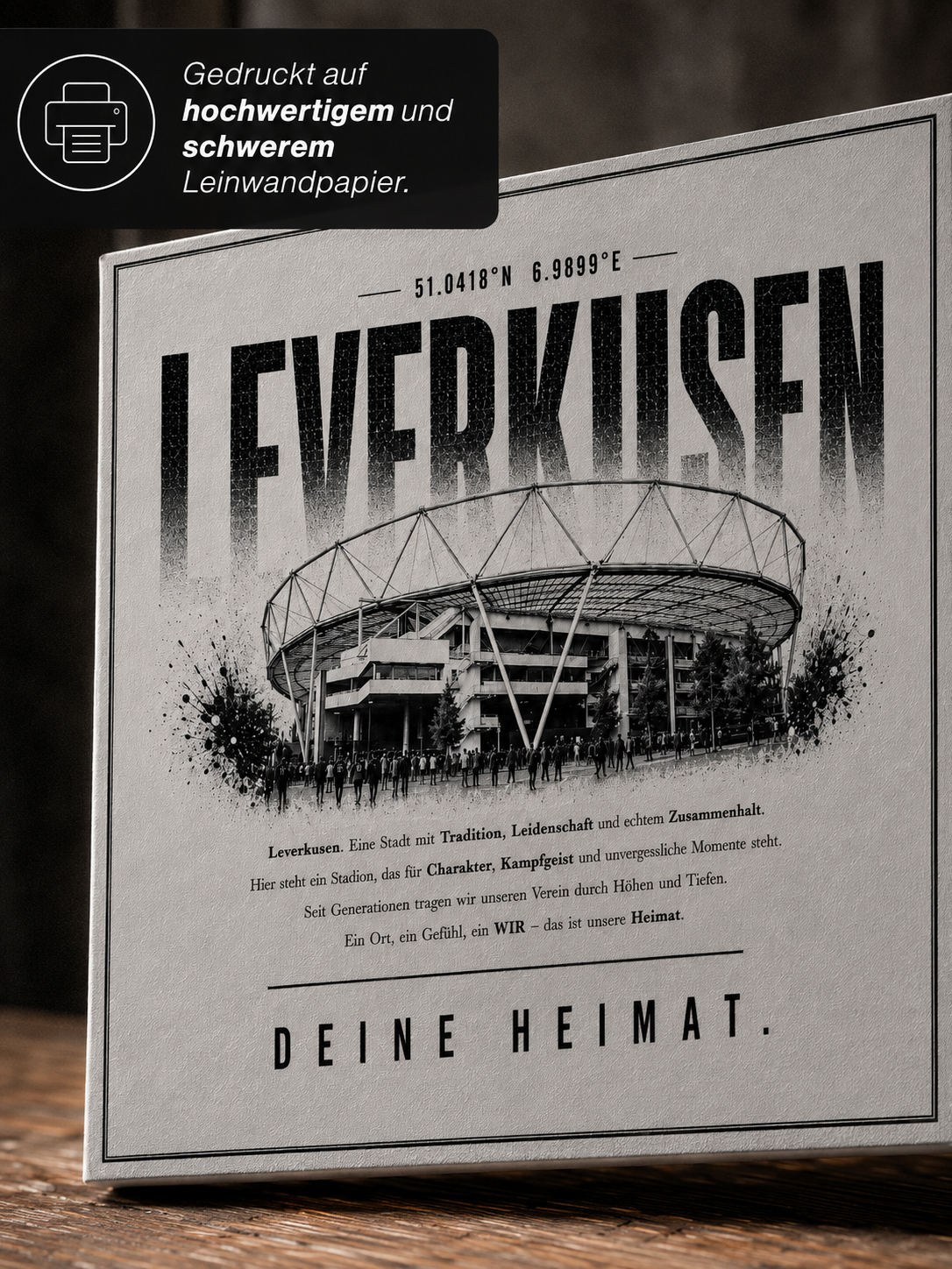 Leverkusen Stadion Leinwand