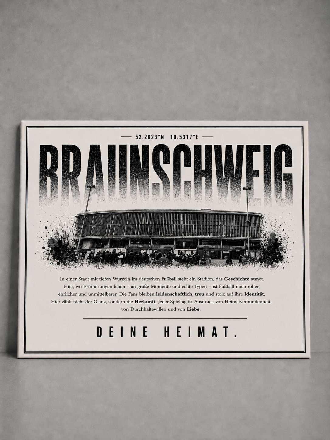 Braunschweig Stadion Leinwand