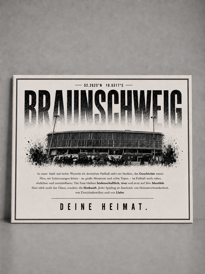 Braunschweig Stadion Leinwand
