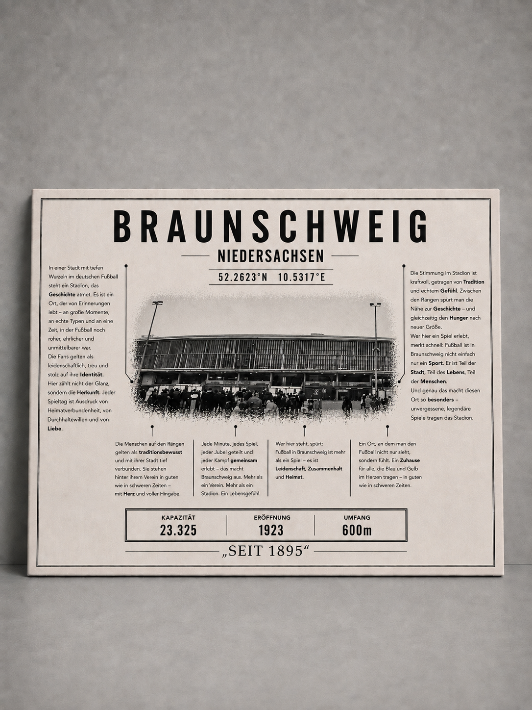 Braunschweig Stadion Leinwand