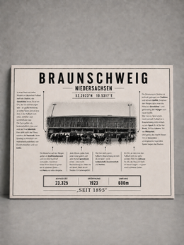 Braunschweig Stadion Leinwand