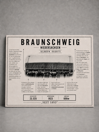 Braunschweig Stadion Leinwand