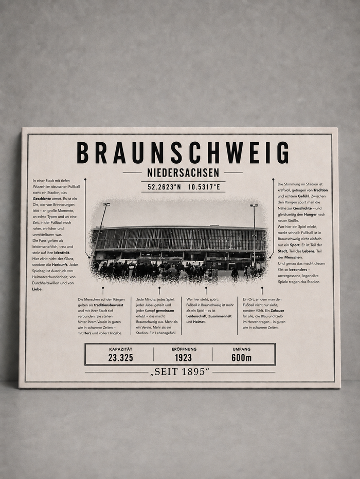 Braunschweig Stadion Leinwand