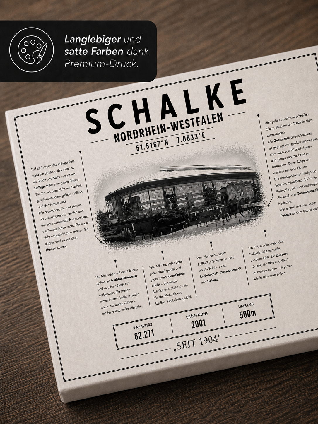 Schalke Stadion Leinwand