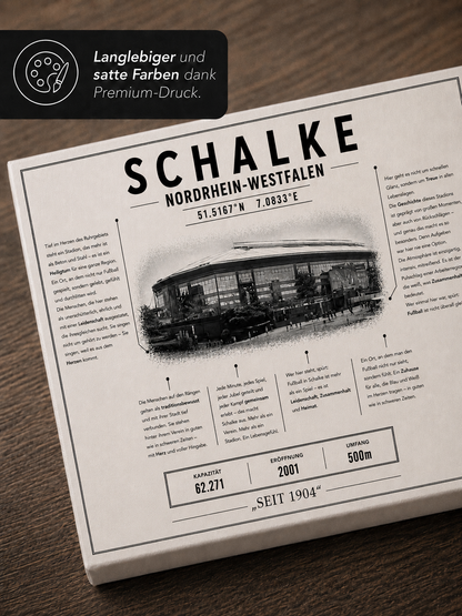 Schalke Stadion Leinwand