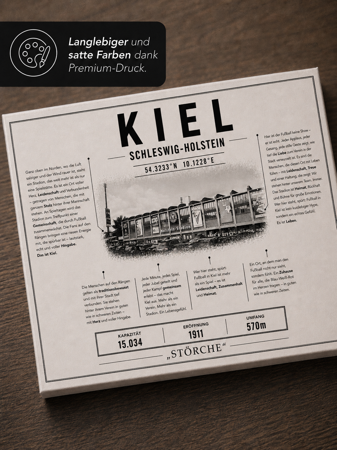 Kiel Stadion Leinwand