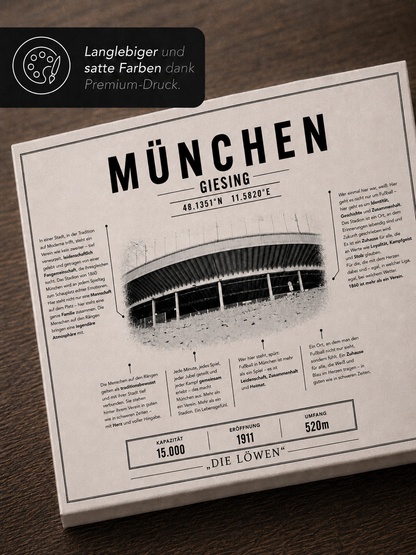 München Stadion Leinwand