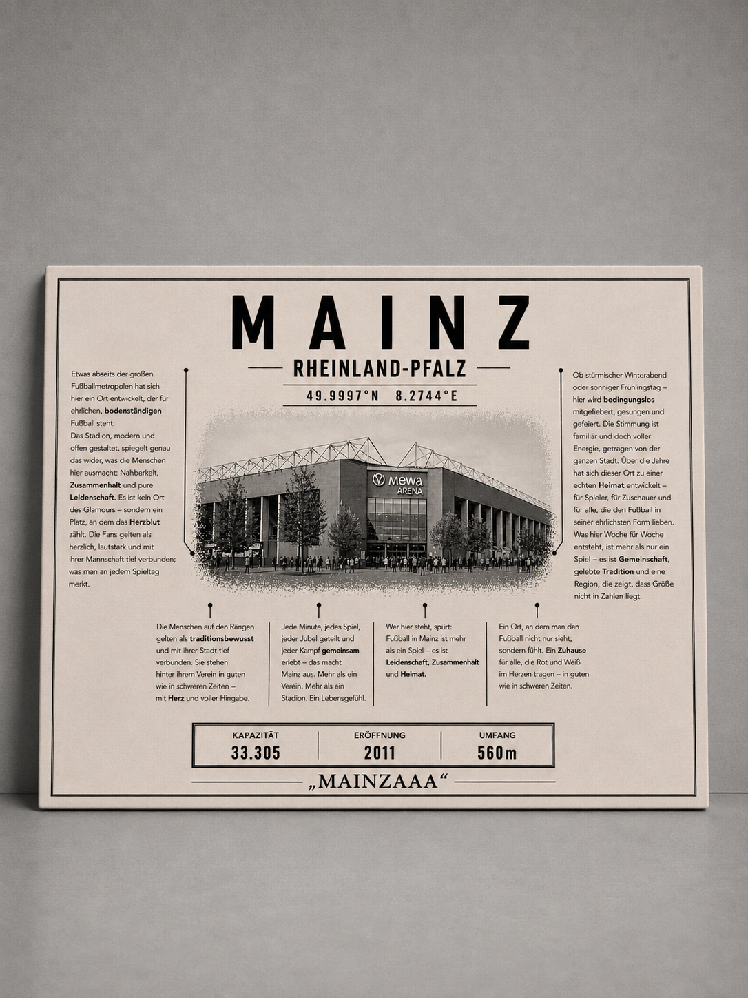 Mainz Stadion Leinwand