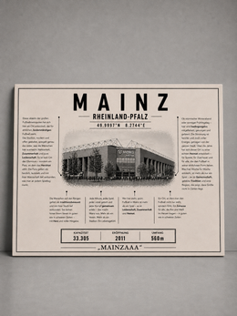 Mainz Stadion Leinwand