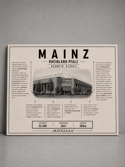 Mainz Stadion Leinwand