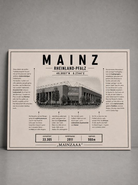 Mainz Stadion Leinwand