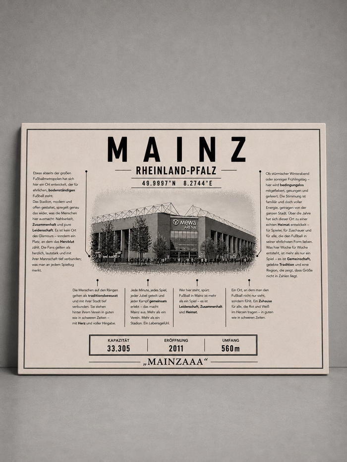 Mainz Stadion Leinwand