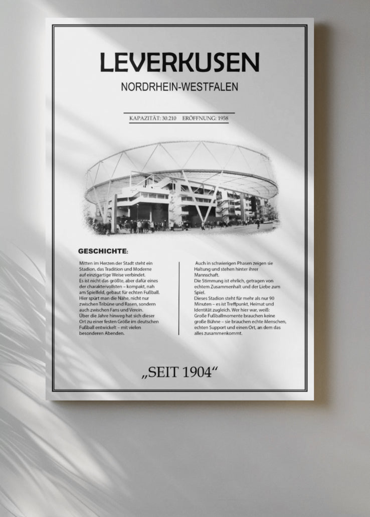 Leverkusen Stadion Leinwand