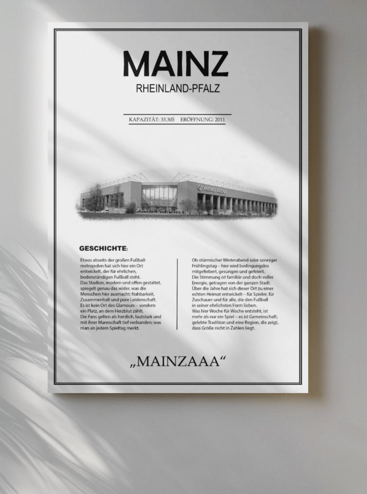 Mainz Stadion Leinwand