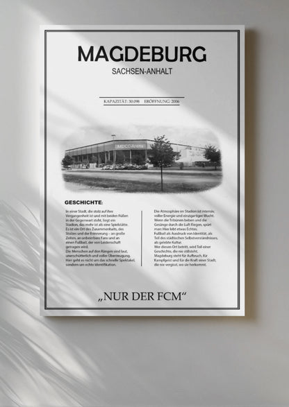 Magdeburg Stadion Leinwand