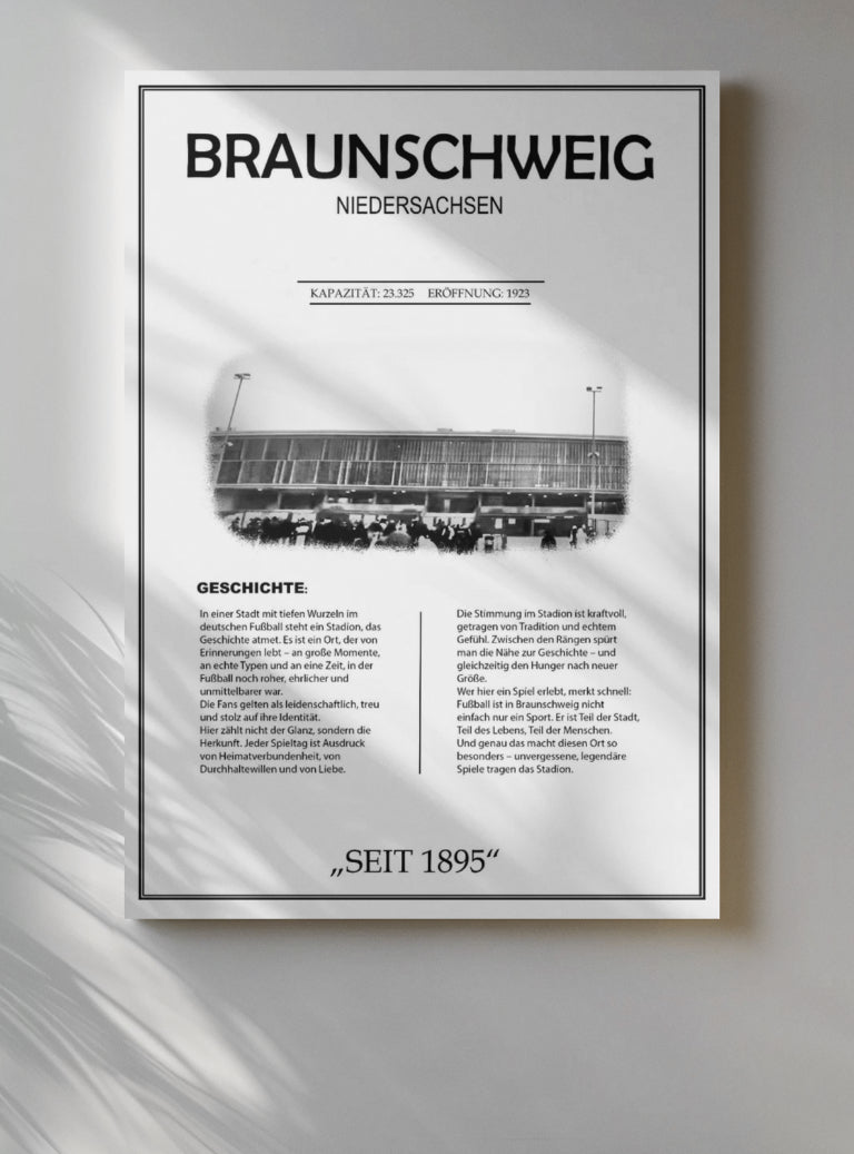 Braunschweig Stadion Leinwand