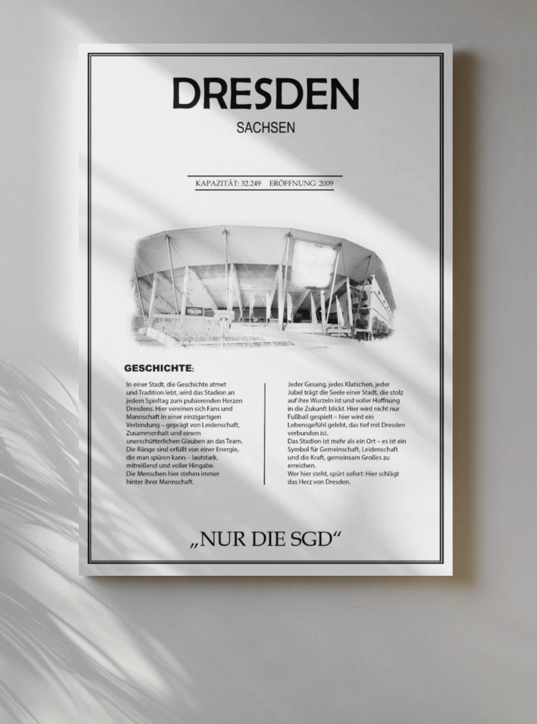 Dresden Stadion Leinwand
