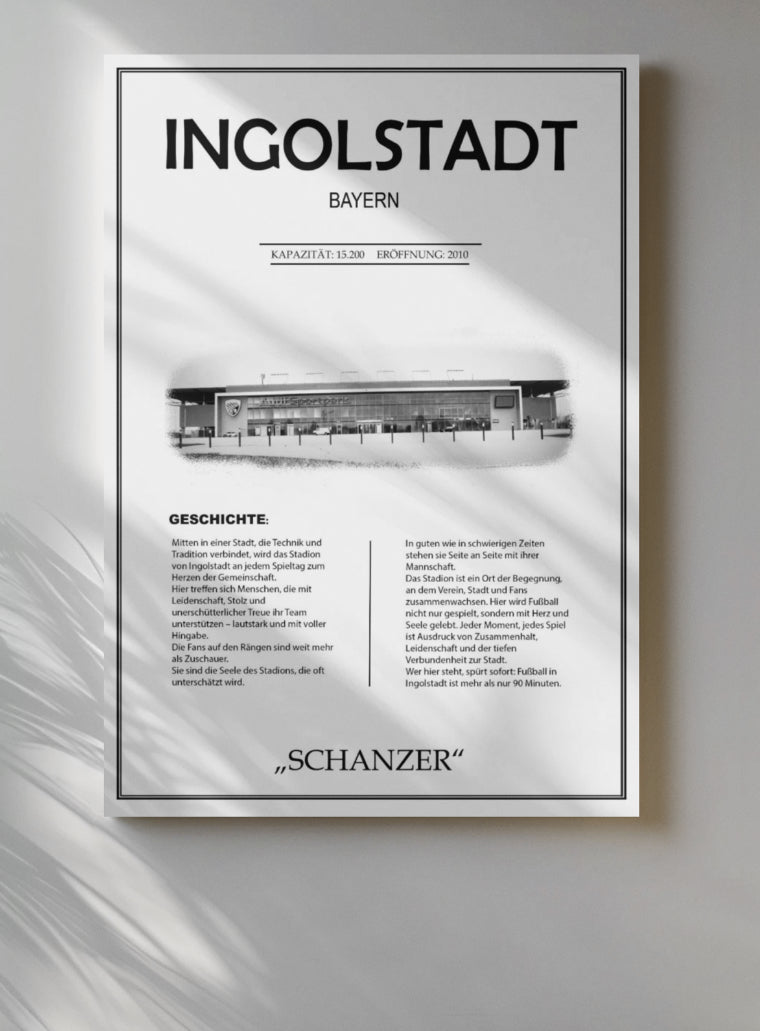 Ingolstadt Stadion Leinwand