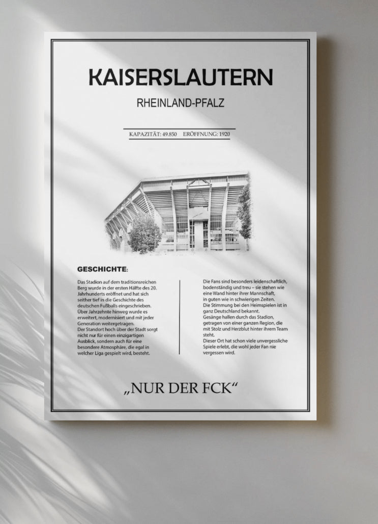 Kaiserslautern Stadion Leinwand