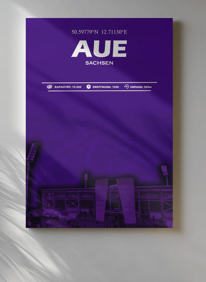 Aue Stadion Leinwand