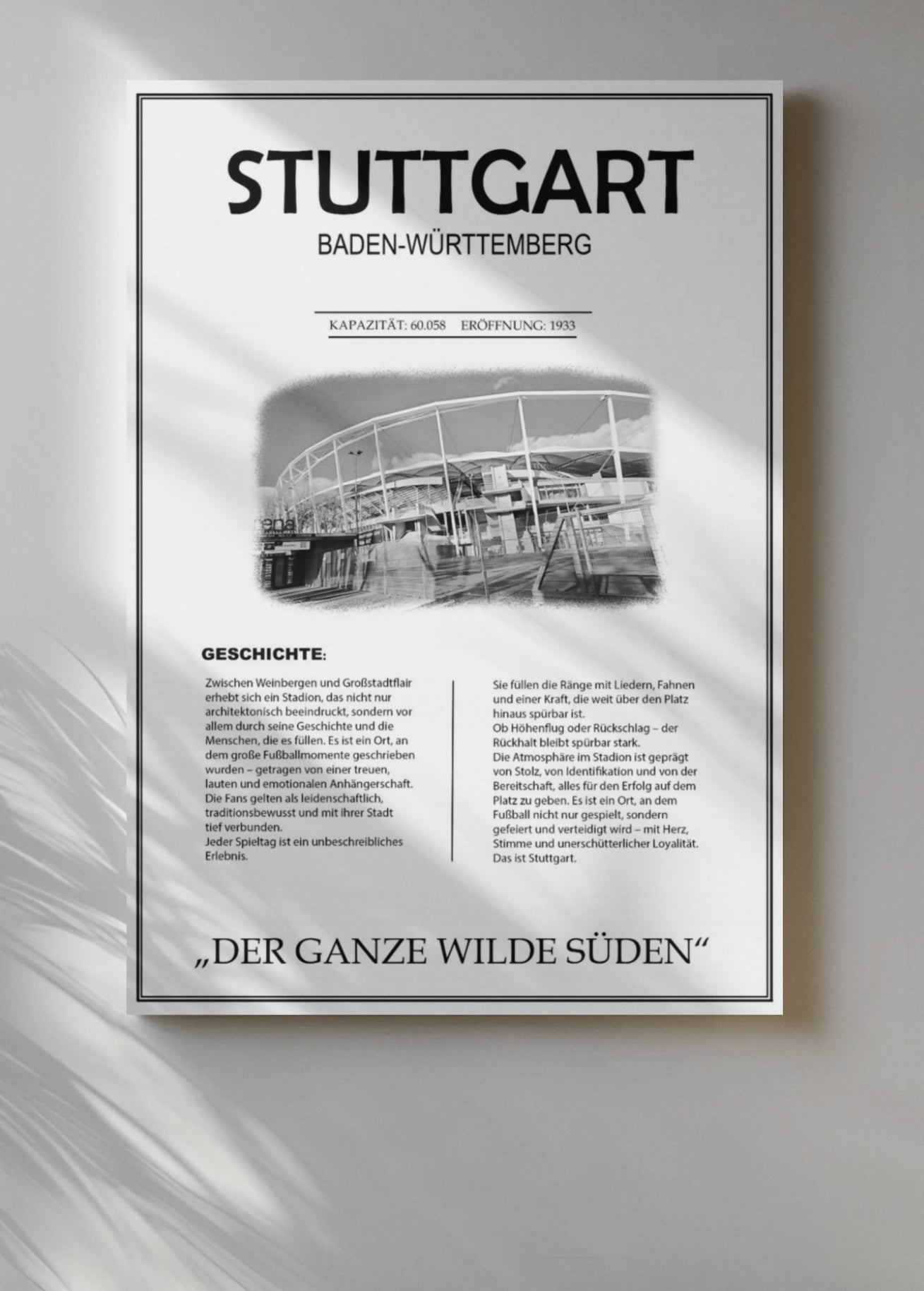 Stuttgart Stadion Leinwand